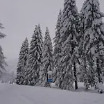 Chalet Mini Walser Formazza