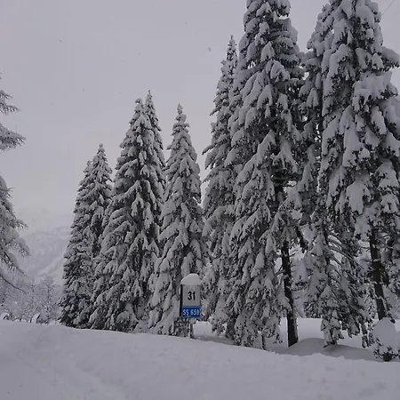 Chalet Mini Walser Formazza